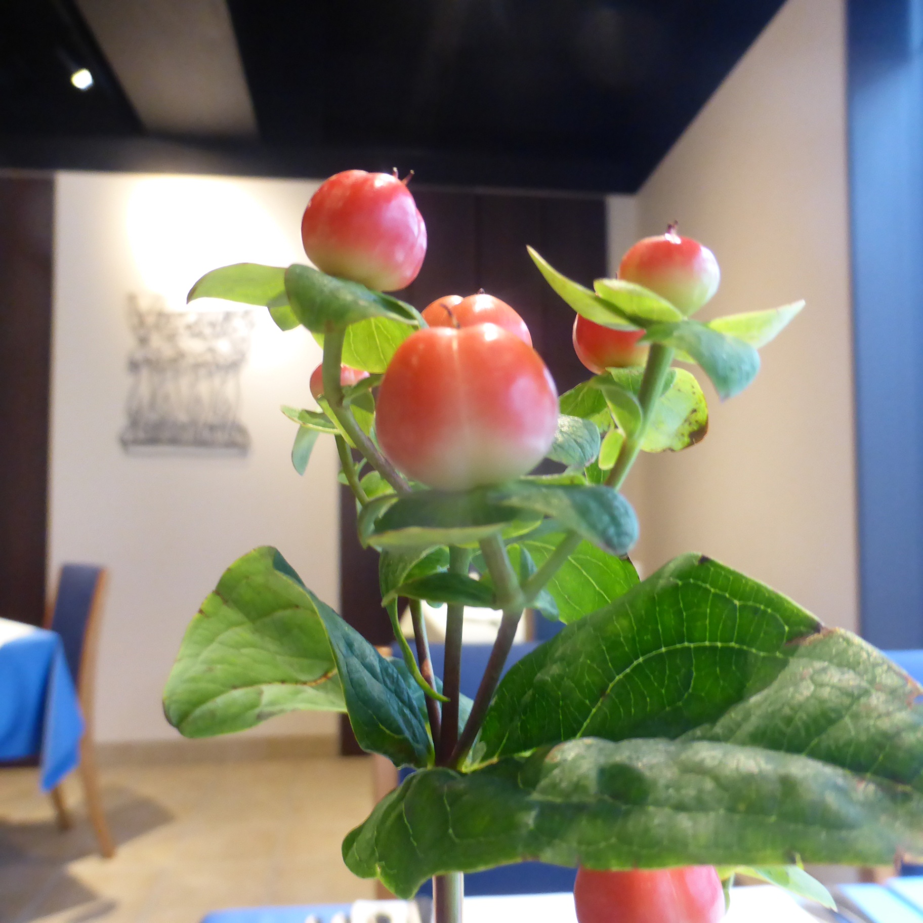 p1260534